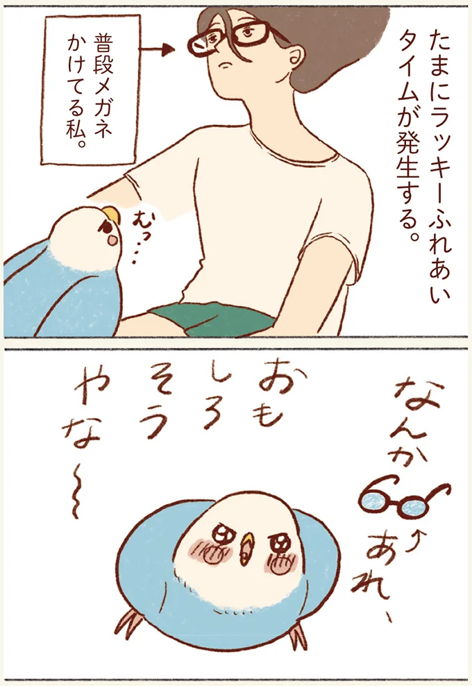 『プジェ日記！ 幸せを運ぶインコのみっちゃん』 102.webp