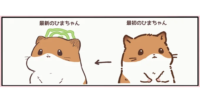 天国にも病気はあるの？ 少しむっちりしたひまちゃんに苦言⁉／ひまちゃんと天国の面接