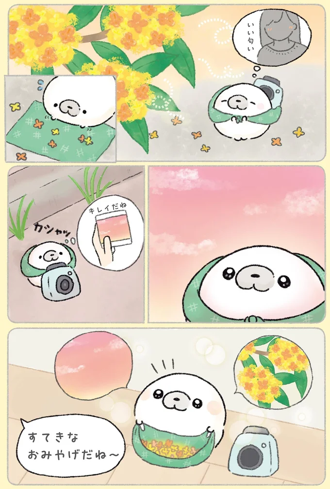 『ちょこんとあざらし』 61.webp