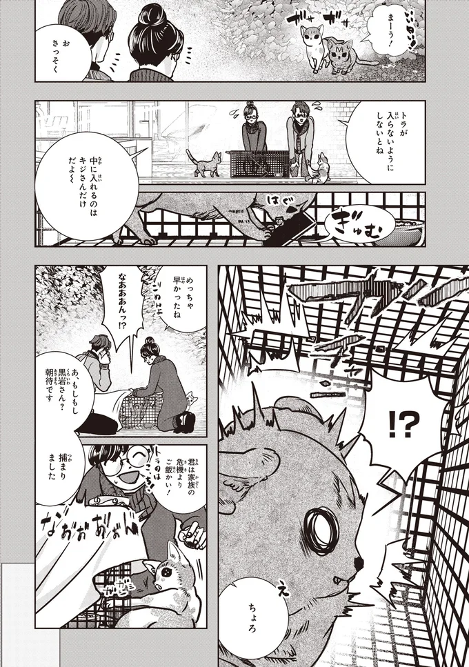 ずっと1人で頑張ってたのか？ ボロボロの子猫との再会／スローステップ朔太郎 上 03-01.png