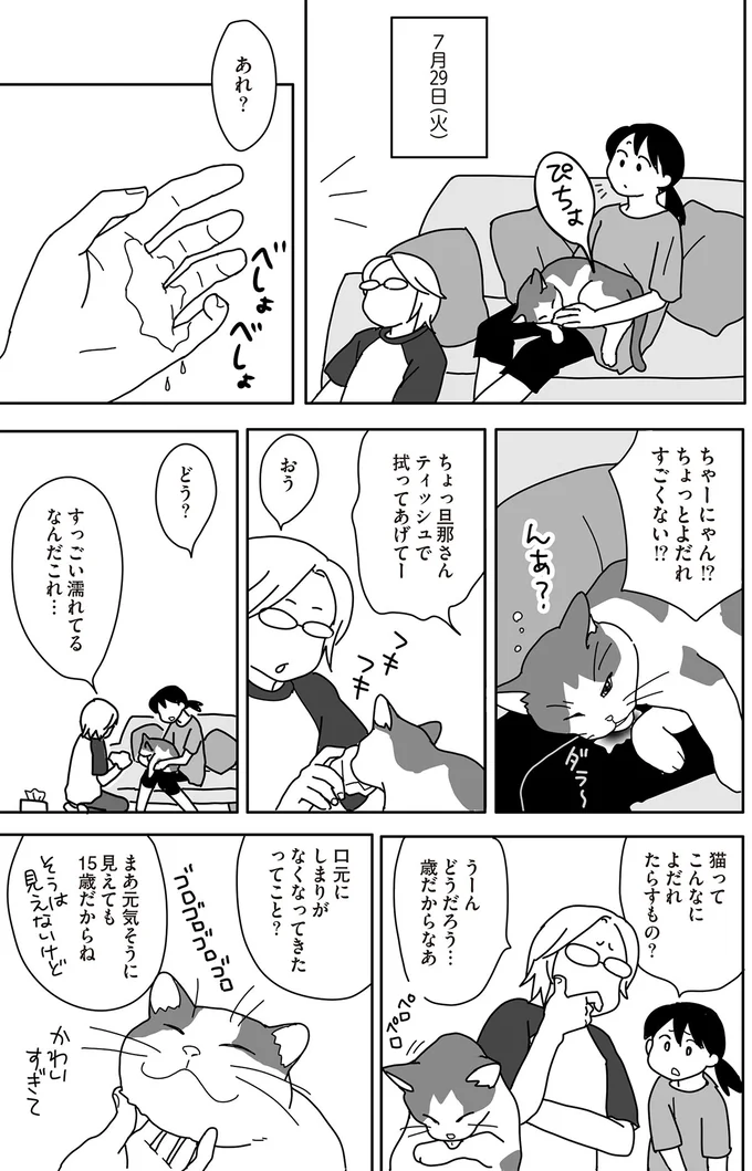 『世界一幸せな飼い主にしてくれた猫』 04-03.png