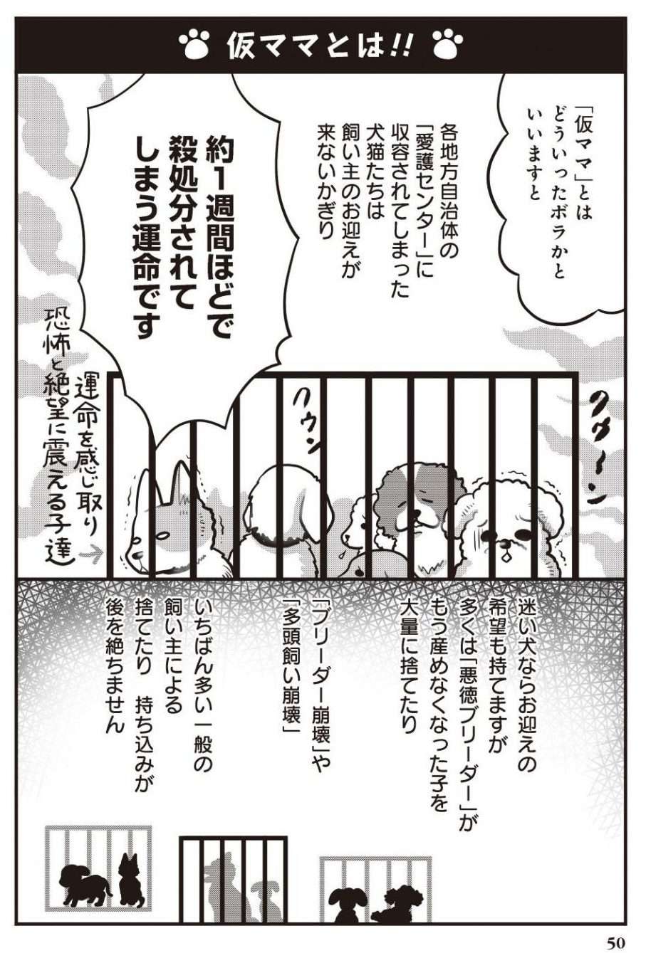 涙がでることもしばしば...保護犬の「仮ママ」ボランティアとは／イヌバカ！ イヌバカ4-1.jpg