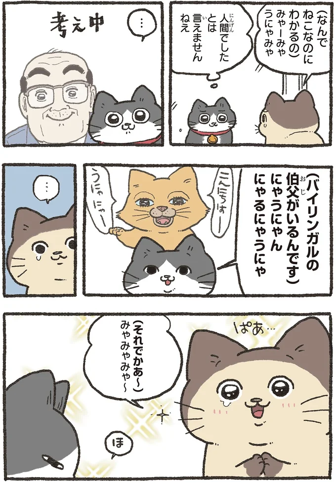 『ねこに転生したおじさん 6』 05-04.webp