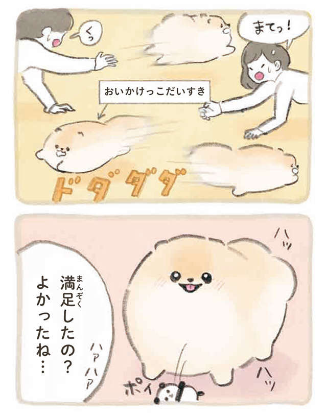 昼は遊んでくれるまで全力アピールの愛犬。夜はオフモードになり...え？／ふわふわポメのぽぽち popochi_p48-2.jpg