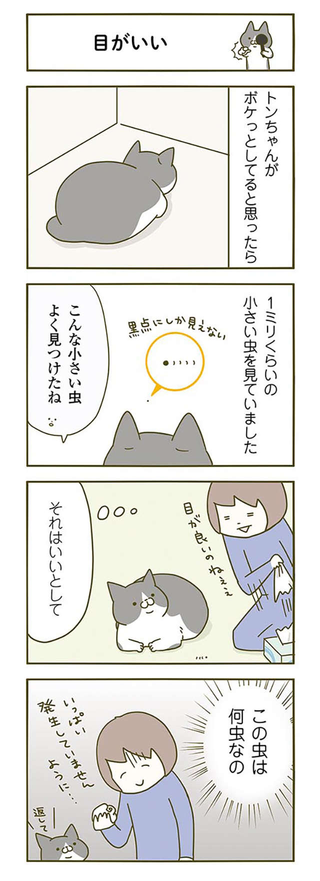 「いつもと違う！」と猫の夜泣き。季節の変わり目のあるある!?／うちの猫がまた変なことしてる。2 13.jpg