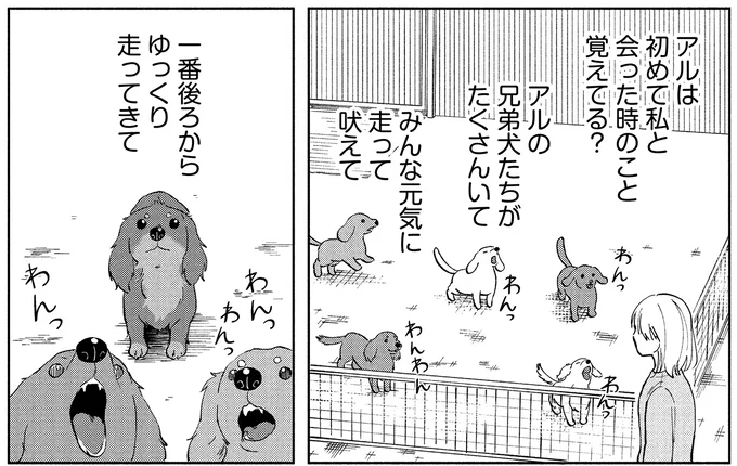 『アルへ』 02-02.webp