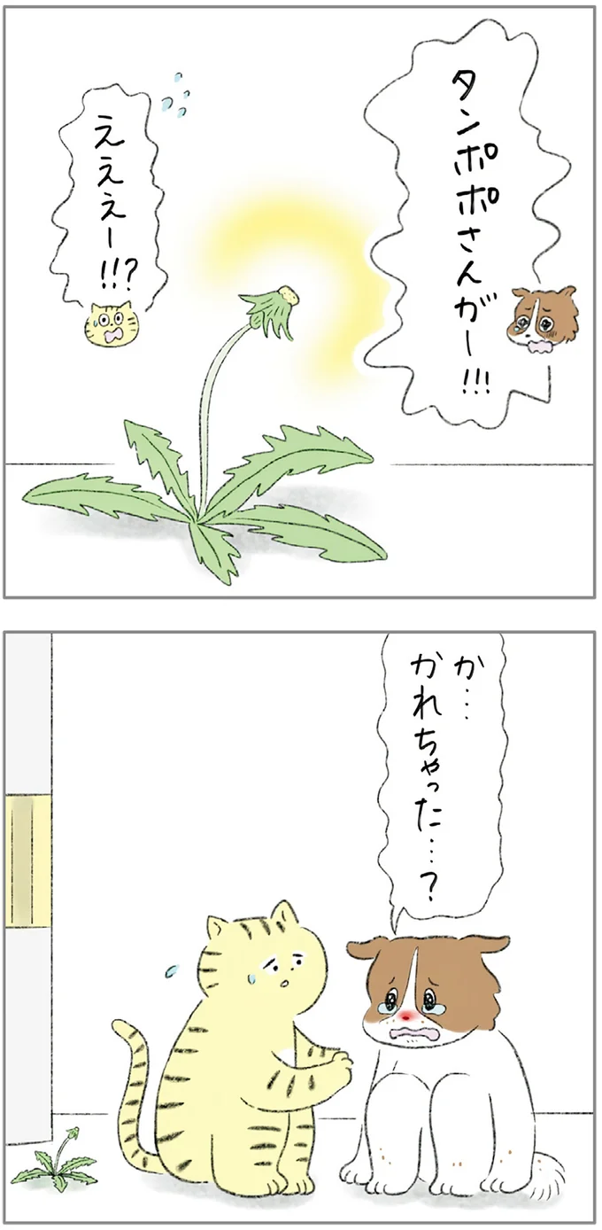 『ターとアグのしあわせ日和 元ノラ猫と元保護犬、ふたりは親友』 02-09.png