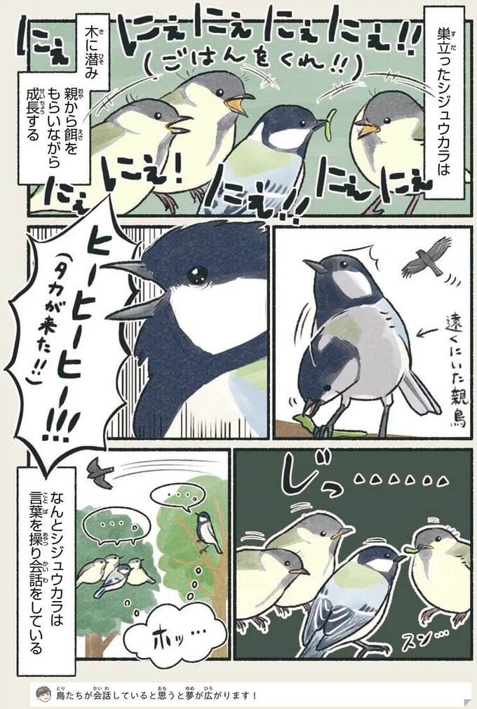 『意外と知らない鳥の生活 1〜2』 112.webp