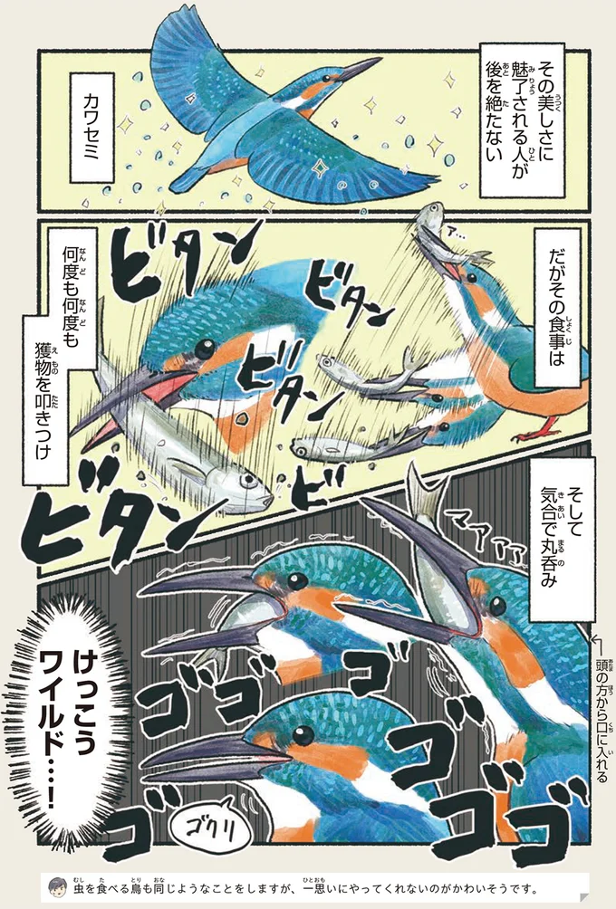 『意外と知らない鳥の生活 1〜2』 211.webp