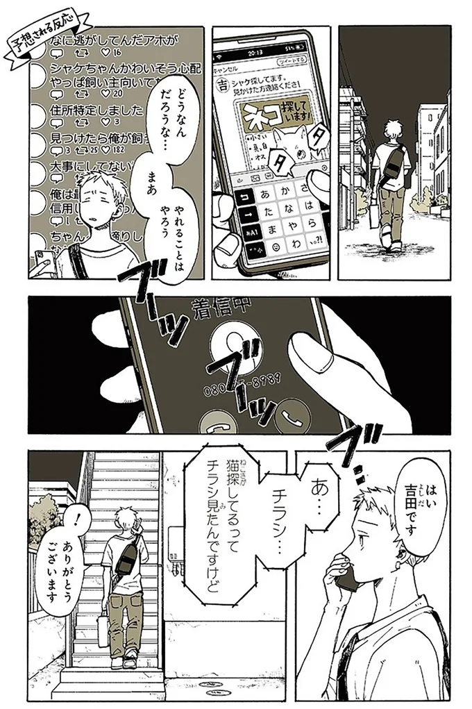 夜中、窓をカリカリする物音が。子猫が戻ってきたかと思ったら、あら大変！／特別じゃない日 15667009.webp