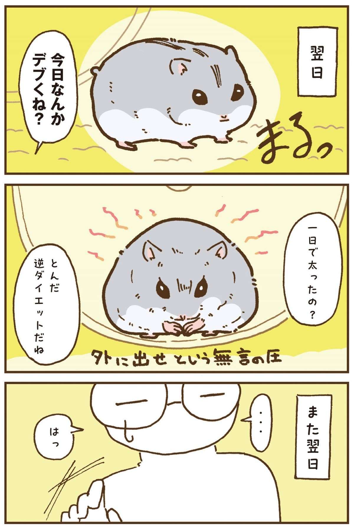 ネズミ？ ウツボ？ ハムスターの「形状」が毎日変わりすぎる...／今日もハムスターから目が離せない！ 11.jpg