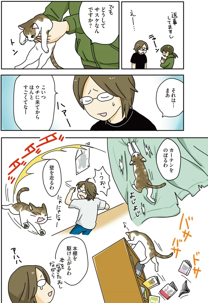 保護した猫は可愛い顔して暴れん坊。部屋の被害が...／世界一幸せな飼い主にしてくれた猫 02-04.png