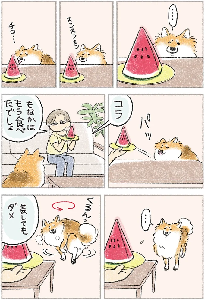 『犬を揉む　-ぺちょら... ときどき 帰宅拒否-』 81.webp