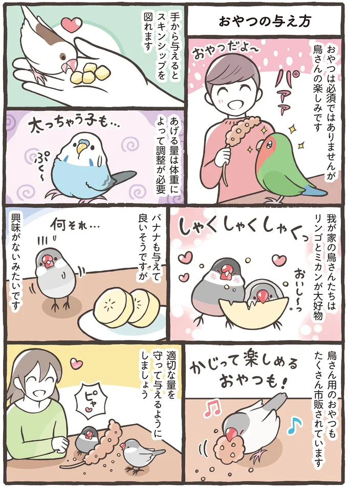 小鳥に必要な5つの栄養素。しっかり与えるポイントは副食もあげること！／トリ扱い説明書 75.png