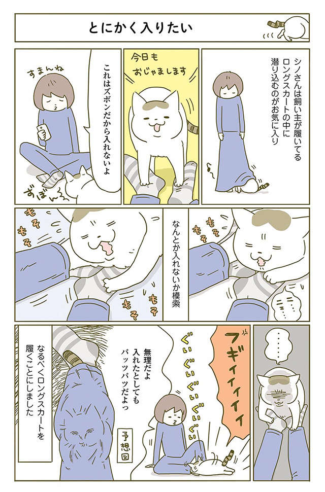 「おじゃまします」ズボンの中になんとかして入ろうとするうちの猫／うちの猫がまた変なことしてる。2 1.jpg