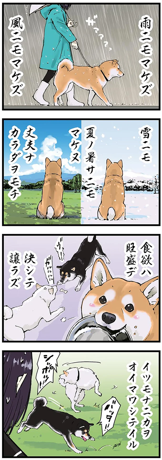 柴犬が目指す「雨ニモマケズ」。そういう柴にもうなってる？ ／世界の終わりに柴犬と 1.png