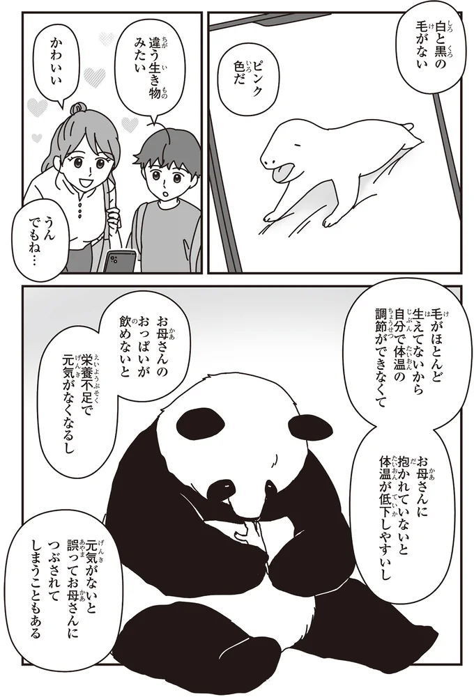 出産前に繰り返し練習...これもパンダの赤ちゃんを守るため！／パンダのミライ 07-02.png