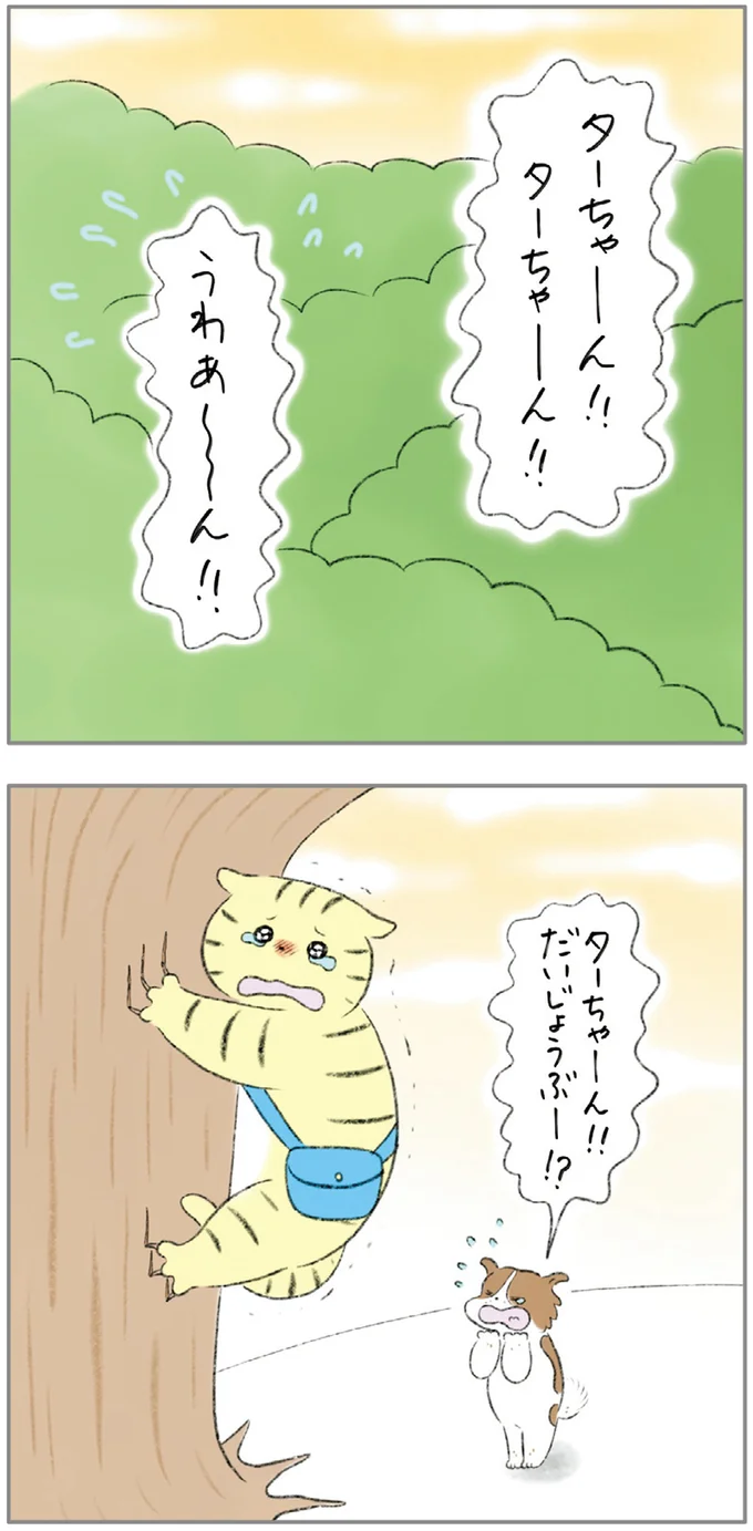 『ターとアグのしあわせ日和 元ノラ猫と元保護犬、ふたりは親友』 01-06.png