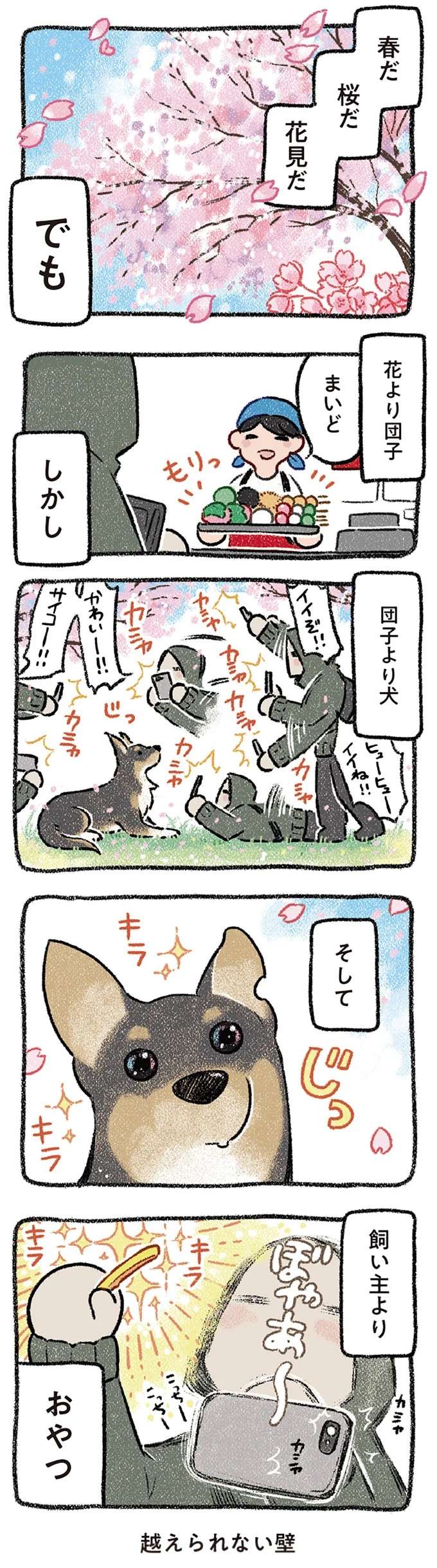 花と愛犬。飼い主は花より団子ではなく「団子より犬」、一方の愛犬は...／ドベとノラ2 dobetonora15_1.jpeg