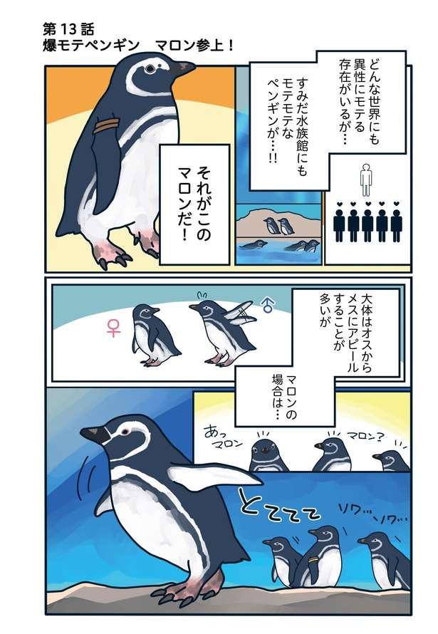 W不倫の予感...!? 大人の余裕「爆モテ男子」の恋愛テクが学べるかも!? ペンギン愛憎物語 94爆モテペンギン・マロン参上！「下町ペンギン物語」第十三話1.jpg