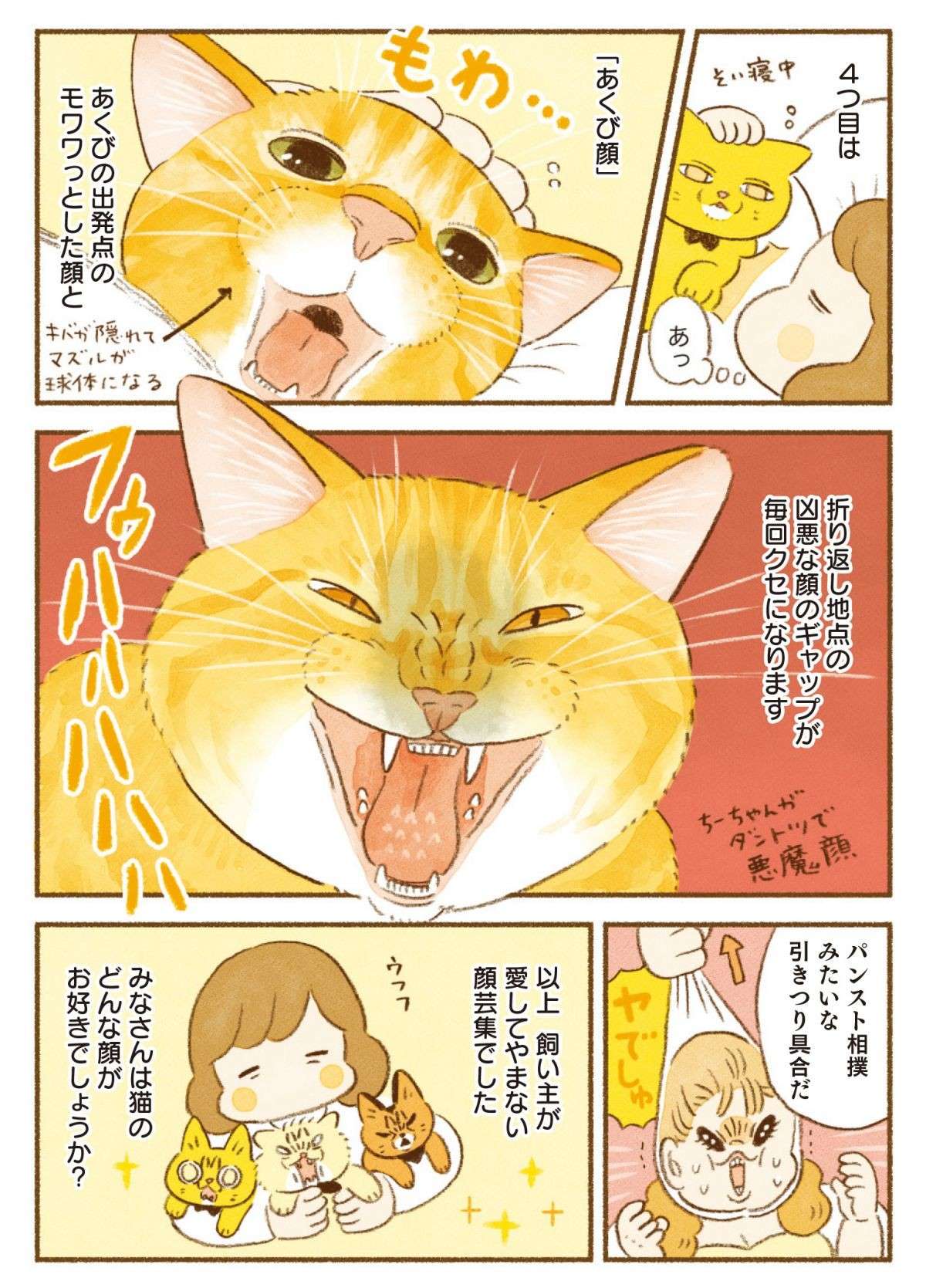 「猫の顔芸」を飼い主は愛してやまない。ええ、「こんな表情」でも／しまねこ3姉妹と暮らしています 13.jpg