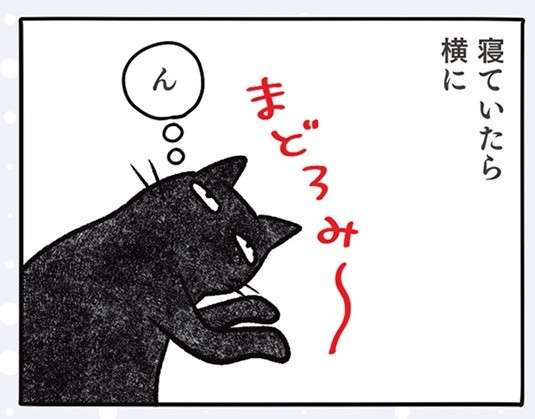 「飽きたん？」猫はおもちゃを動かしても無反応。その「猫っぽい理由」は／黒猫ナノとキジシロ猫きなこ kuroneko_nano11-1.jpg