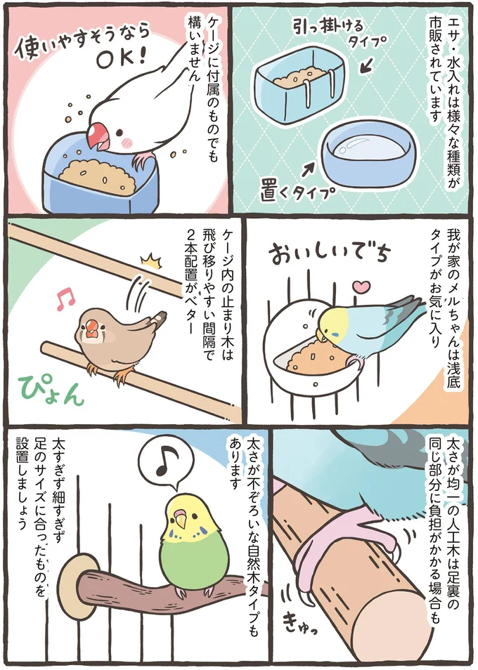 人間の家と一緒。小鳥を飼うのに重要なゲージとその置き場所とは？／トリ扱い説明書 53.png