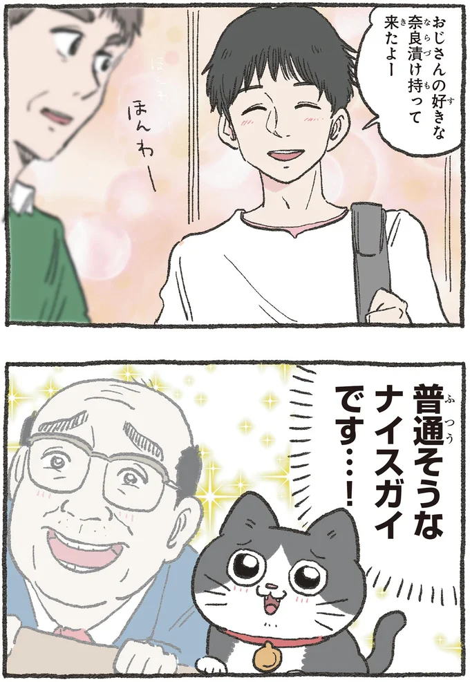 『ねこに転生したおじさん1〜3』 174.webp