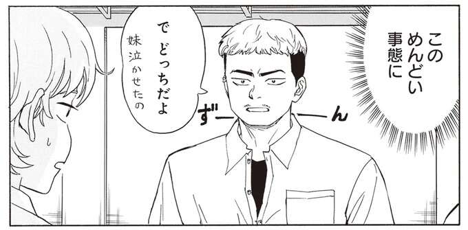 他校の怖いお兄さん襲来！彼の妹を泣かせたのはふたごのどっち？／されどふたご2