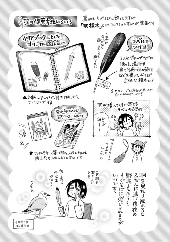 まいにち鳥びより 3-10.png