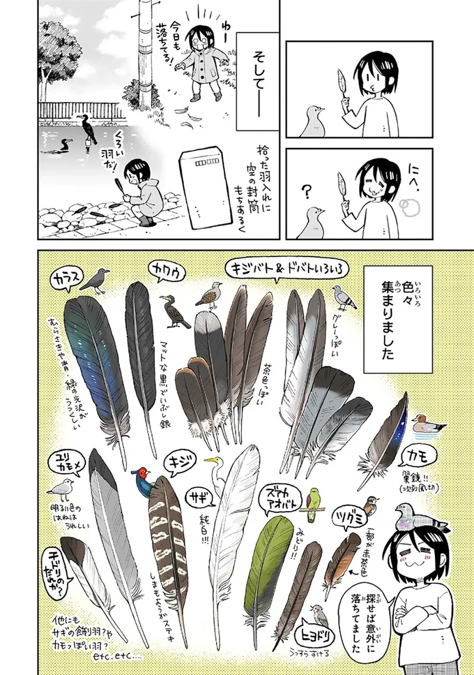 まいにち鳥びより 3-6.png