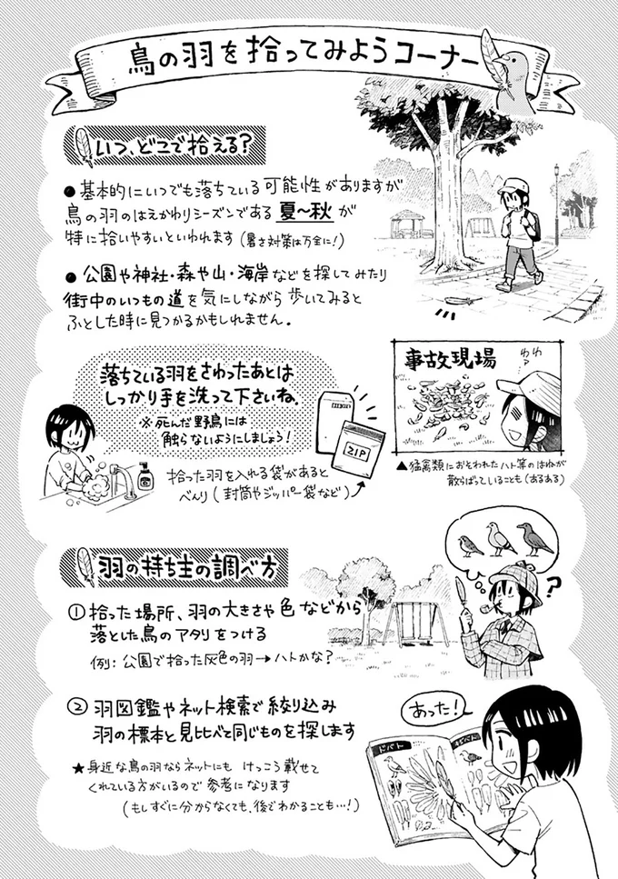 まいにち鳥びより 3-9.png