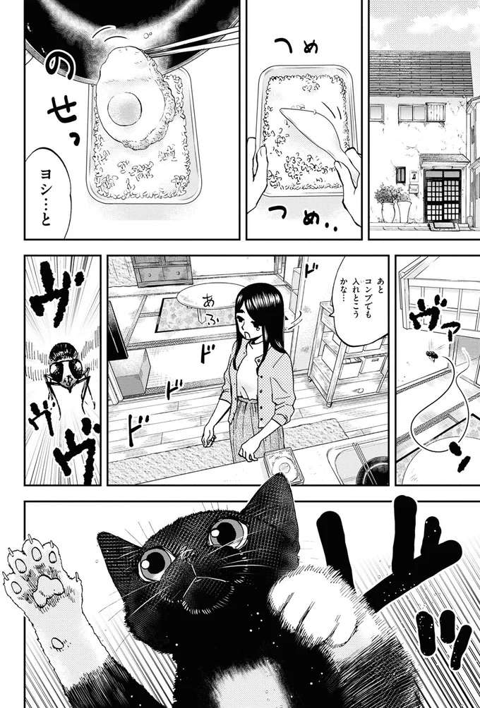 子猫が弁当にいたずら。叱ろうとして思い出した「母の姿」／細村さんと猫のおつまみ1 hosomura8_1.jpeg