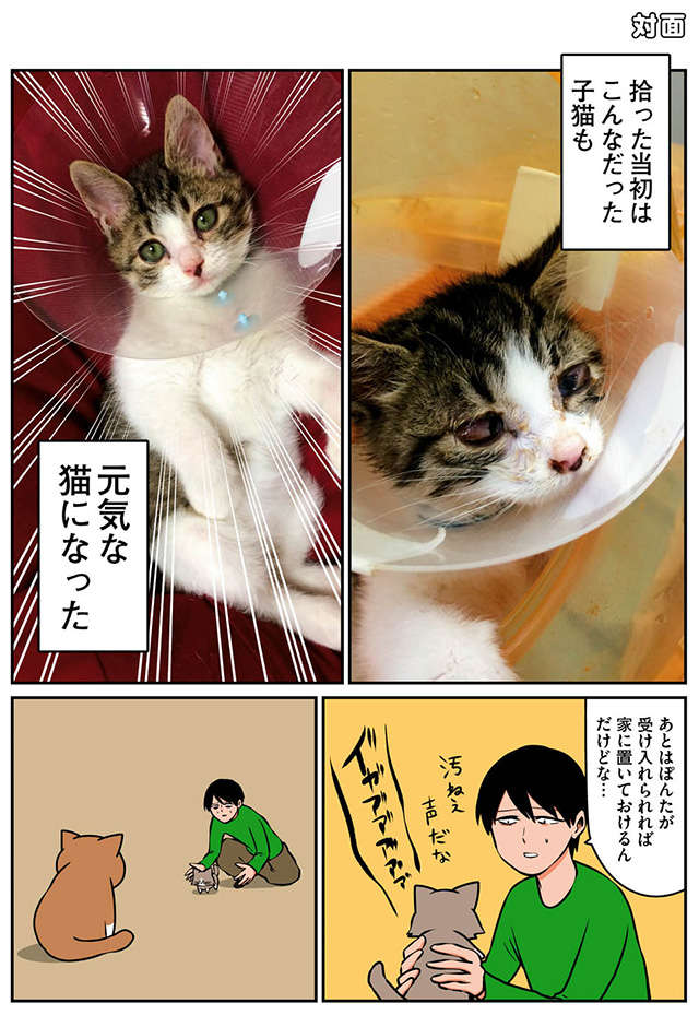 保護した子猫に名前を付けよう！ 飼い主がこだわった結果／鴻池剛と猫のぽんた ニャアアアン!2 | 毎日が発見ネット