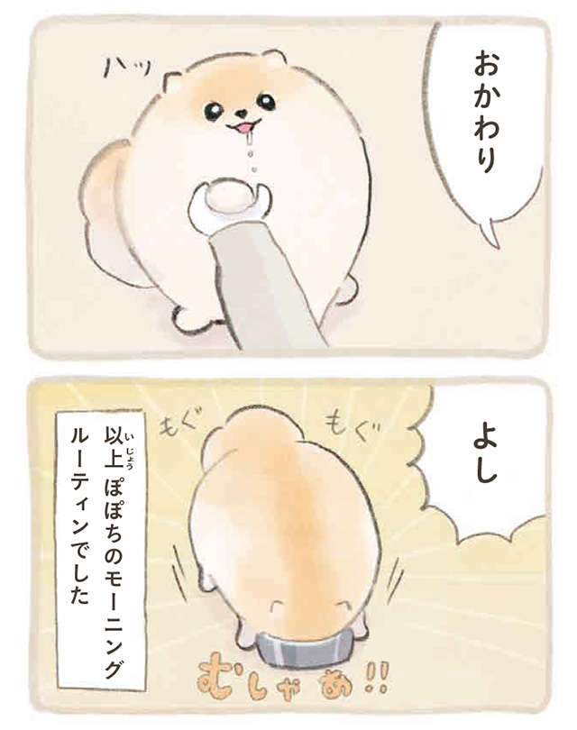 ポメラニアンの愛犬。モーニングルーティーンでふわもふが完成！／ふわふわポメのぽぽち popochi_p13-2.jpg