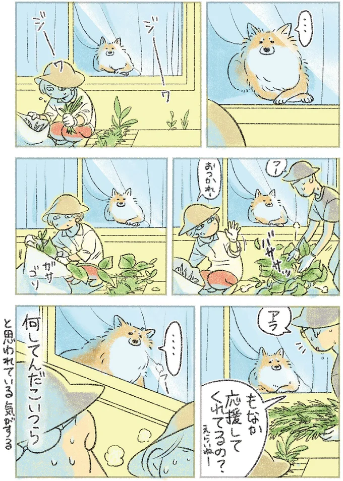 『犬を揉む　-ぺちょら... ときどき 帰宅拒否-』 73.webp