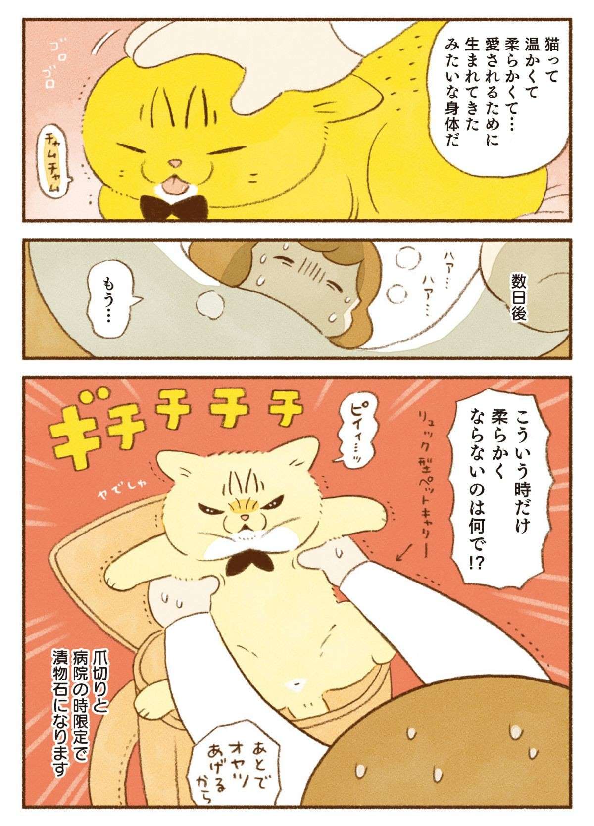 ほっぺもおてても柔らかい猫たち。ただこんな時はギチチチチ／しまねこ3姉妹と暮らしています 13.jpg