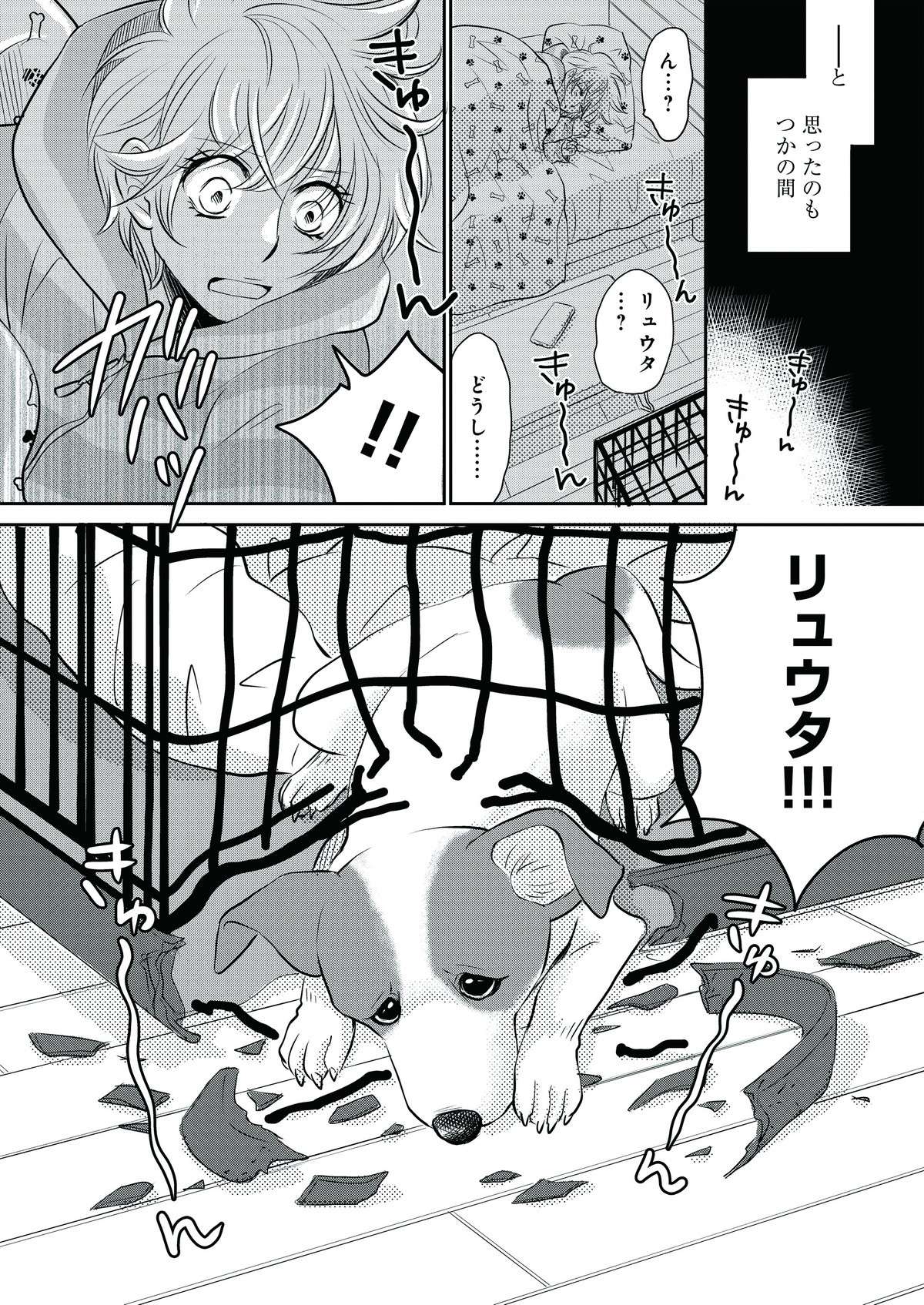 アニメも話題の『DOG SIGNAL』。パワフルなジャックラッセルの破壊活動は止まず...／DOG SIGNAL 14.jpg