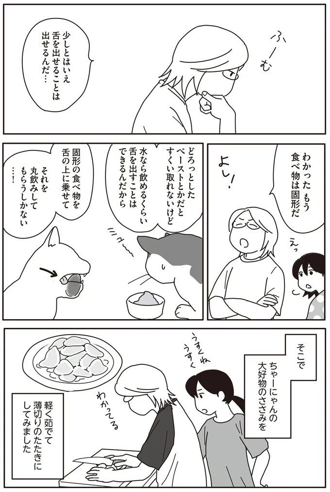 『世界一幸せな飼い主にしてくれた猫』 15-04.png