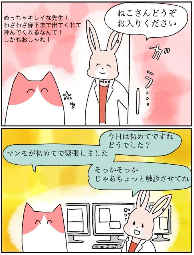 「胸のしこり」が不安でセカンドオピニオンへ。検査のすえ先生の診断は...／アラサー会社員の乳がんの備忘録 arasa2_11.jpeg