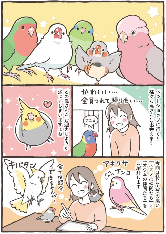 家族に迎えるのはどの鳥がいい？ 大きさだけでなく性格もさまざま／トリ扱い説明書 31.png