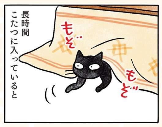 なーっ、なーっ、黒猫ナノは大きな音が嫌い。でも「一番うるさい」のは／黒猫ナノとキジシロ猫きなこ kuroneko_nano4-1.jpg