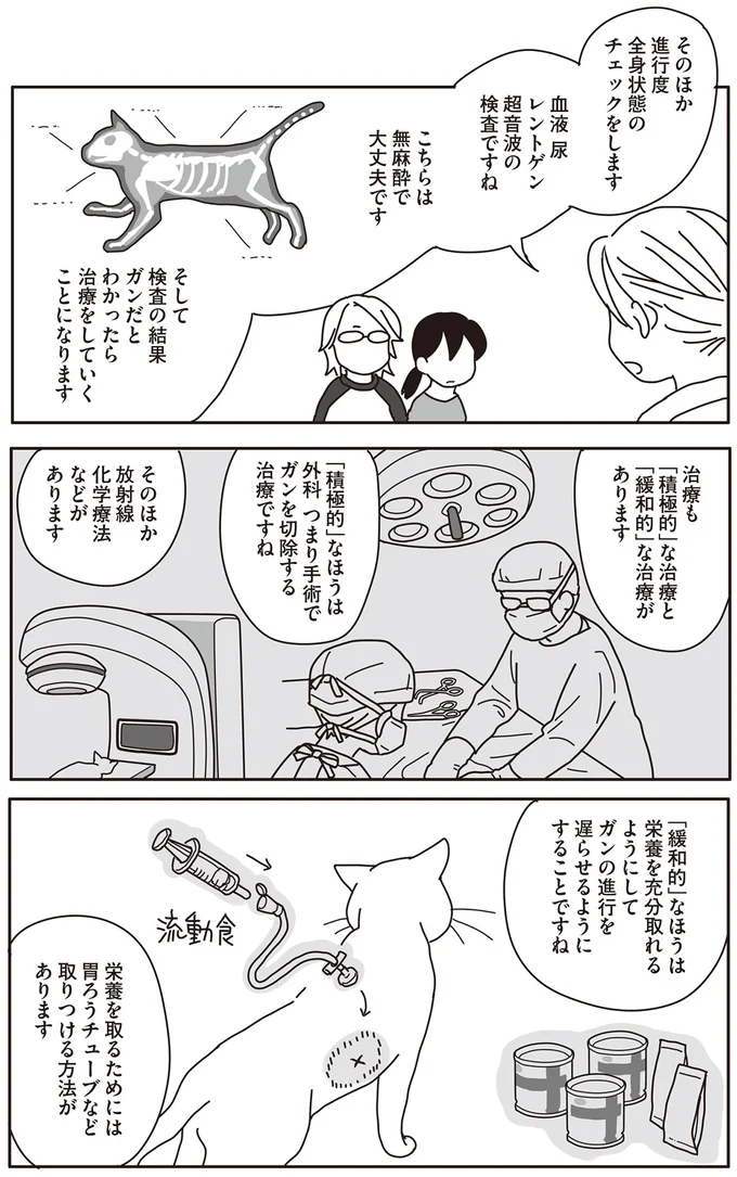 猫の下アゴを切除!? ガン専門病院で提案された治療法に飼い主の回答は...／世界一幸せな飼い主にしてくれた猫 09-04.png