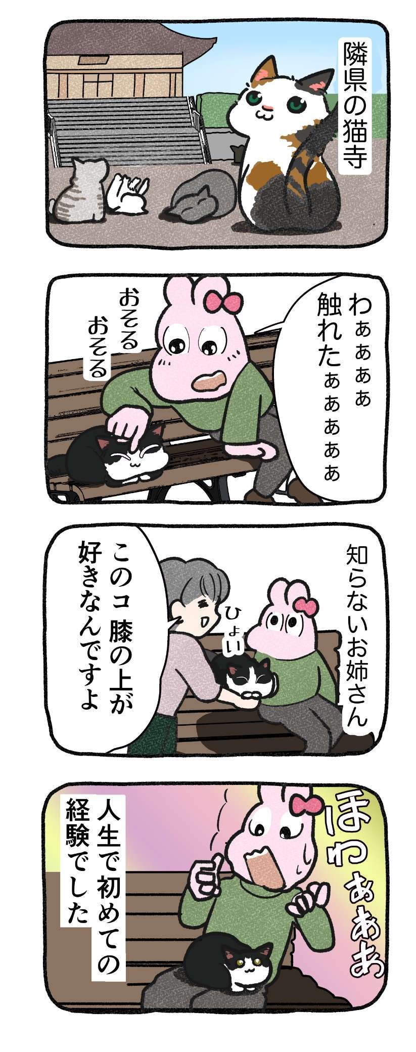 『ねこと家族になる100の準備』／はまかぜこんぶ 007.jpg