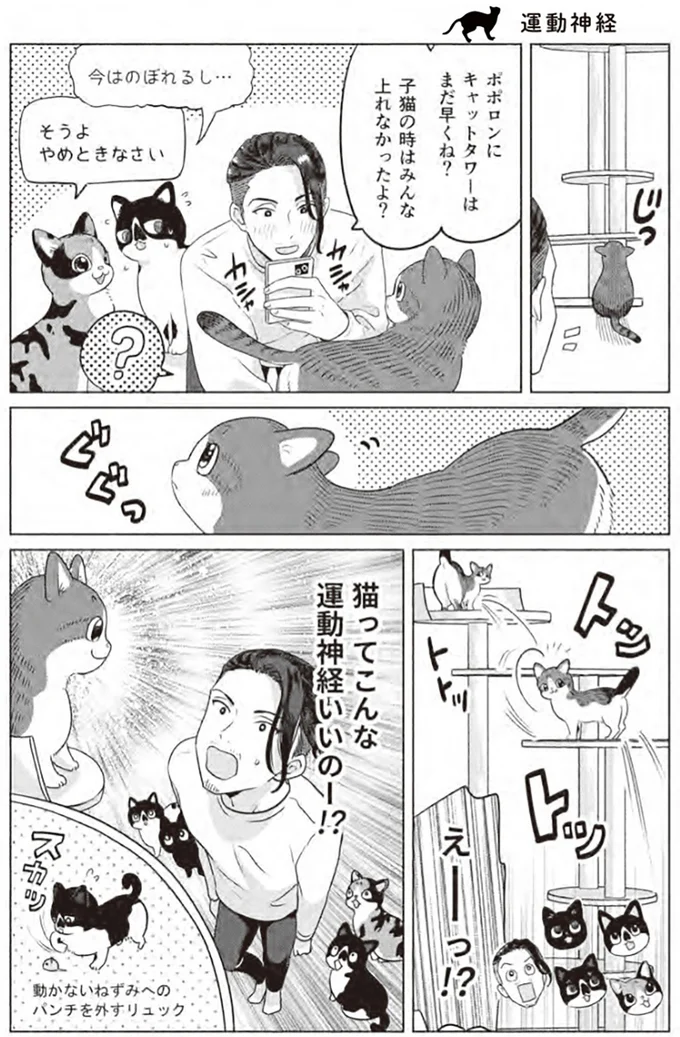 『借金1000万作曲家の人生を変えてくれた猫の話』 73.webp