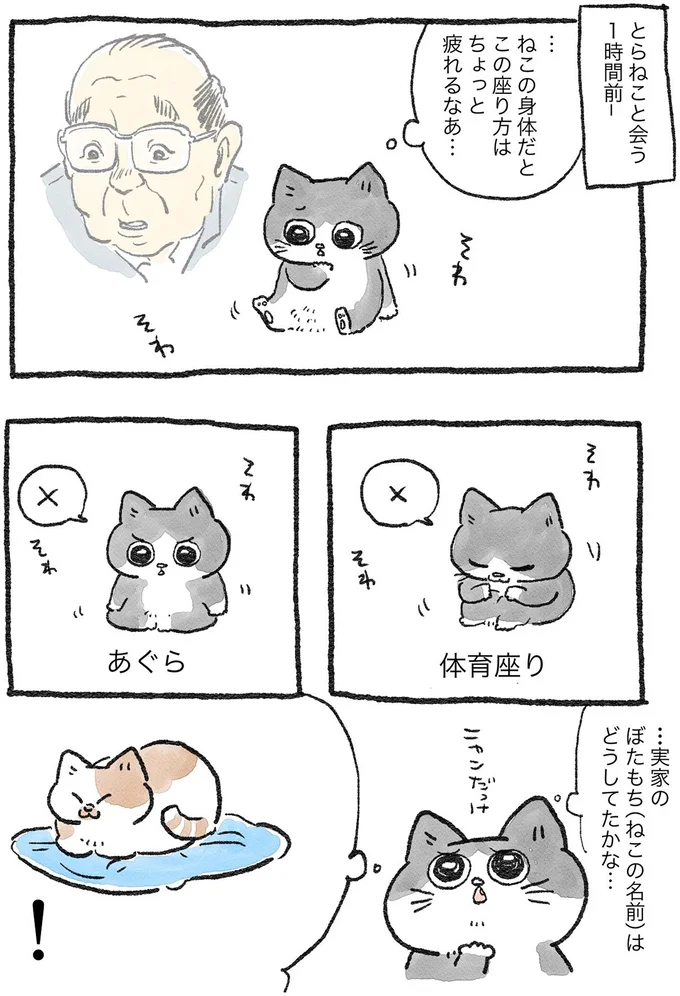 猫の座り方、楽なのはどれだろう。悩んだすえ、ねこおじがたどり着いたのは/ねこに転生したおじさん1 31.webp