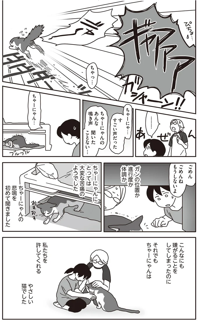『世界一幸せな飼い主にしてくれた猫』 17-05.png