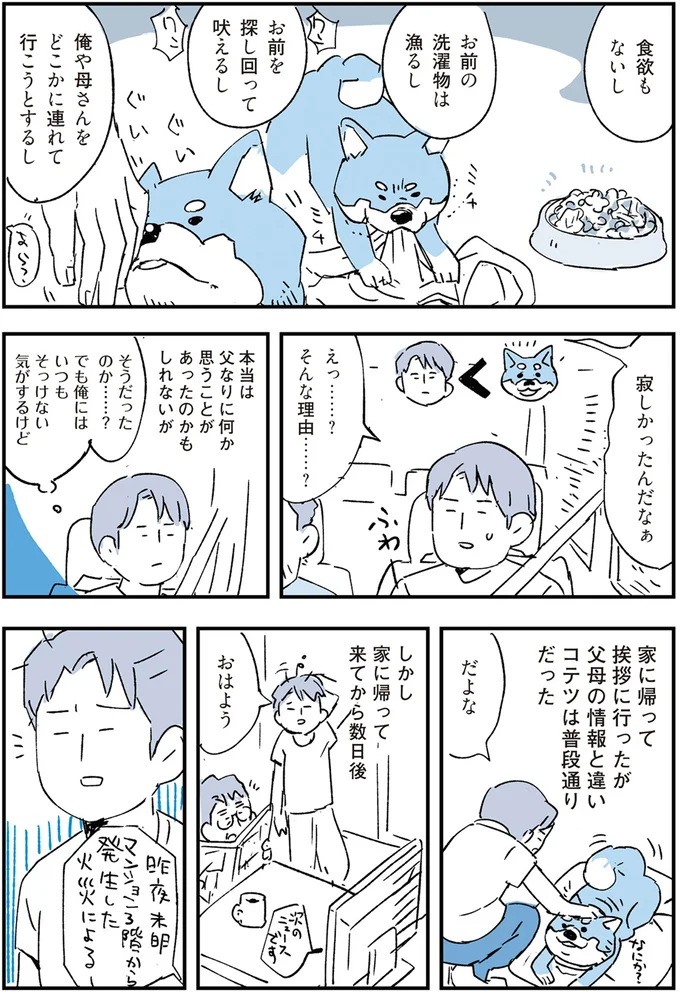 『いつもきみのそばに 動物たちが残した25個の不思議なメッセージ』 06-03.png