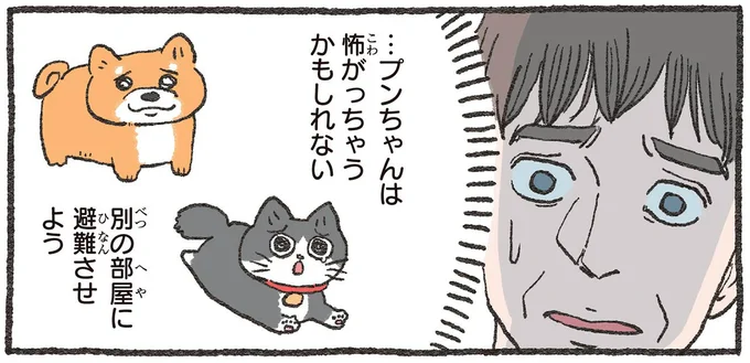 もしかして変わってらっしゃる？ねこおじの肉球に甥御さんが夢中⁉／ねこに転生したおじさん3
