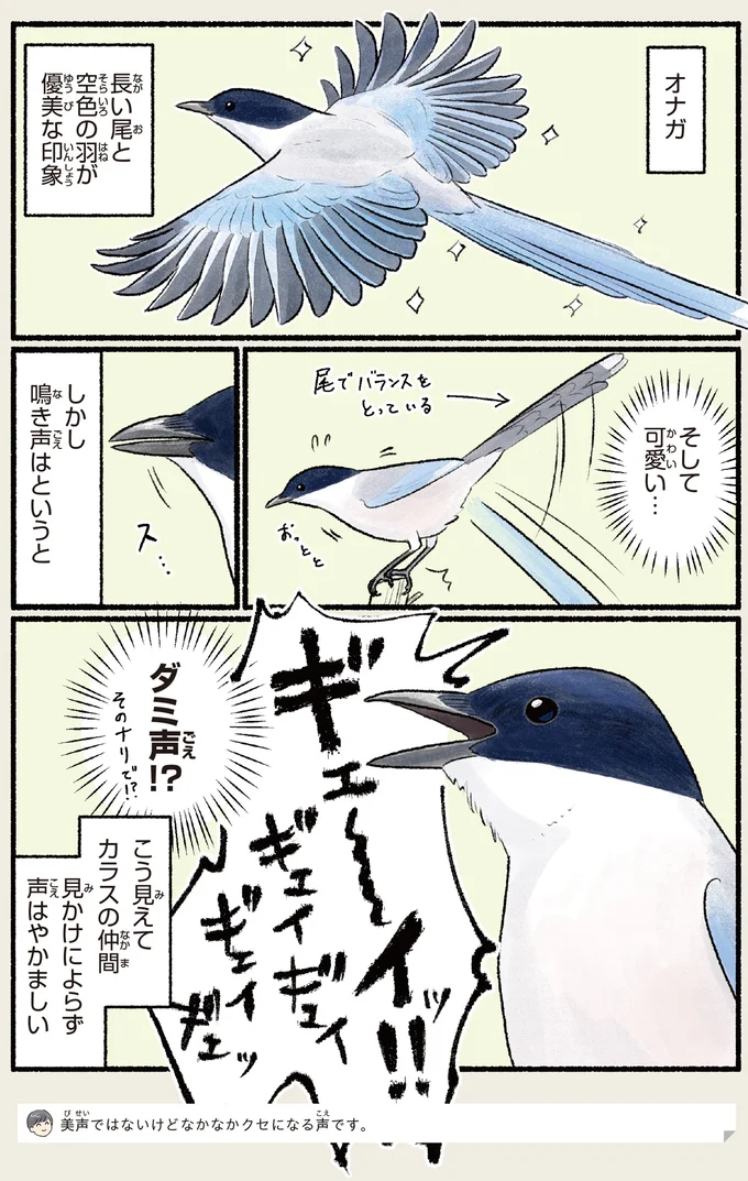 『意外と知らない鳥の生活 1〜2』 341.webp